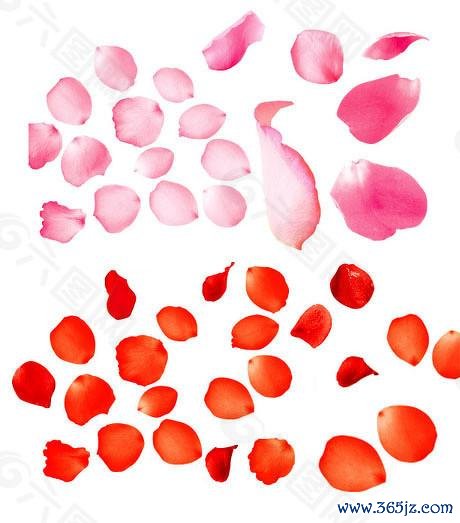 配资公司官网 年报季退市新规显威，一批公司因财务不达标被警示风险