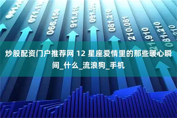 炒股配资门户推荐网 12 星座爱情里的那些暖心瞬间_什么_流浪狗_手机